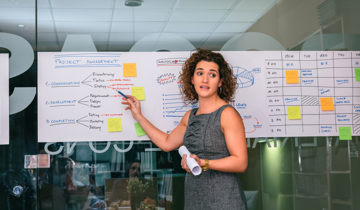 project manager