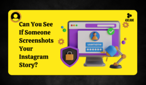 Instagram Stories & Privacy: Can You See Who Takes Screenshots?