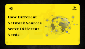 How Different Network Sources Serve Different Needs