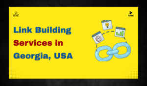 Link Building Services in Georgia, USA : Asclique Innovation & Technology