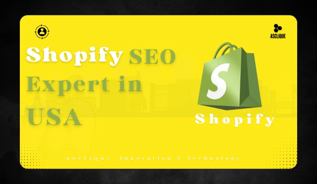 Shopify SEO Expert in USA