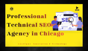 Best Technical SEO Audit Agency in Chicago | Local SEO Experts