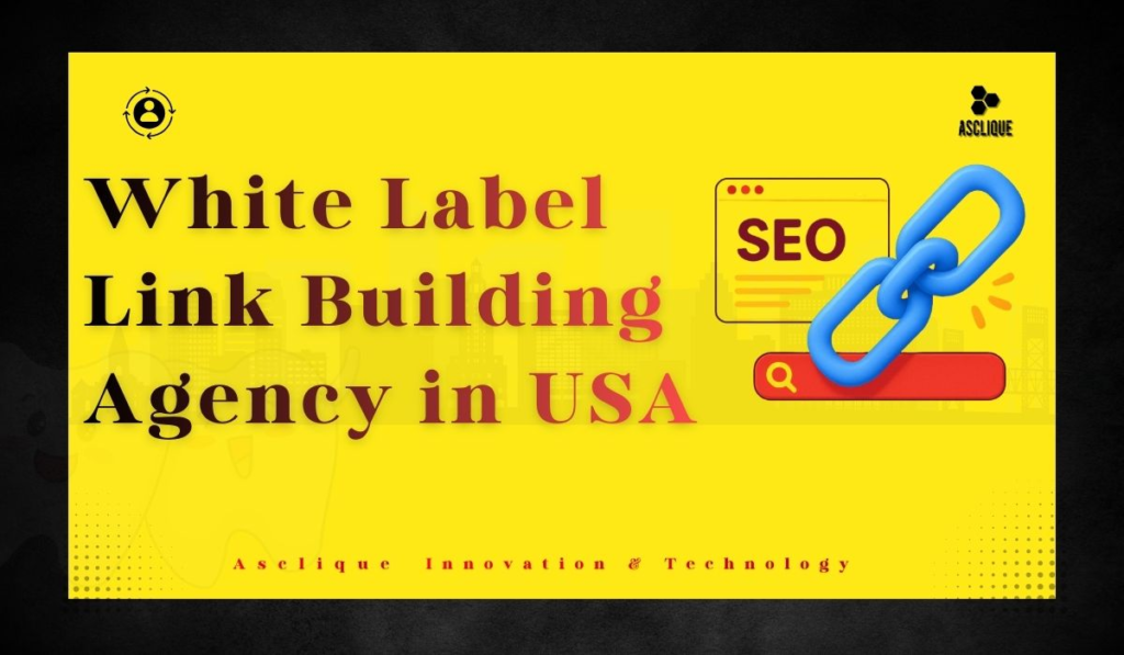 White Label Link Building Agency in USA