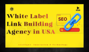 White Label Link Building: A Complete Guide for Agencies